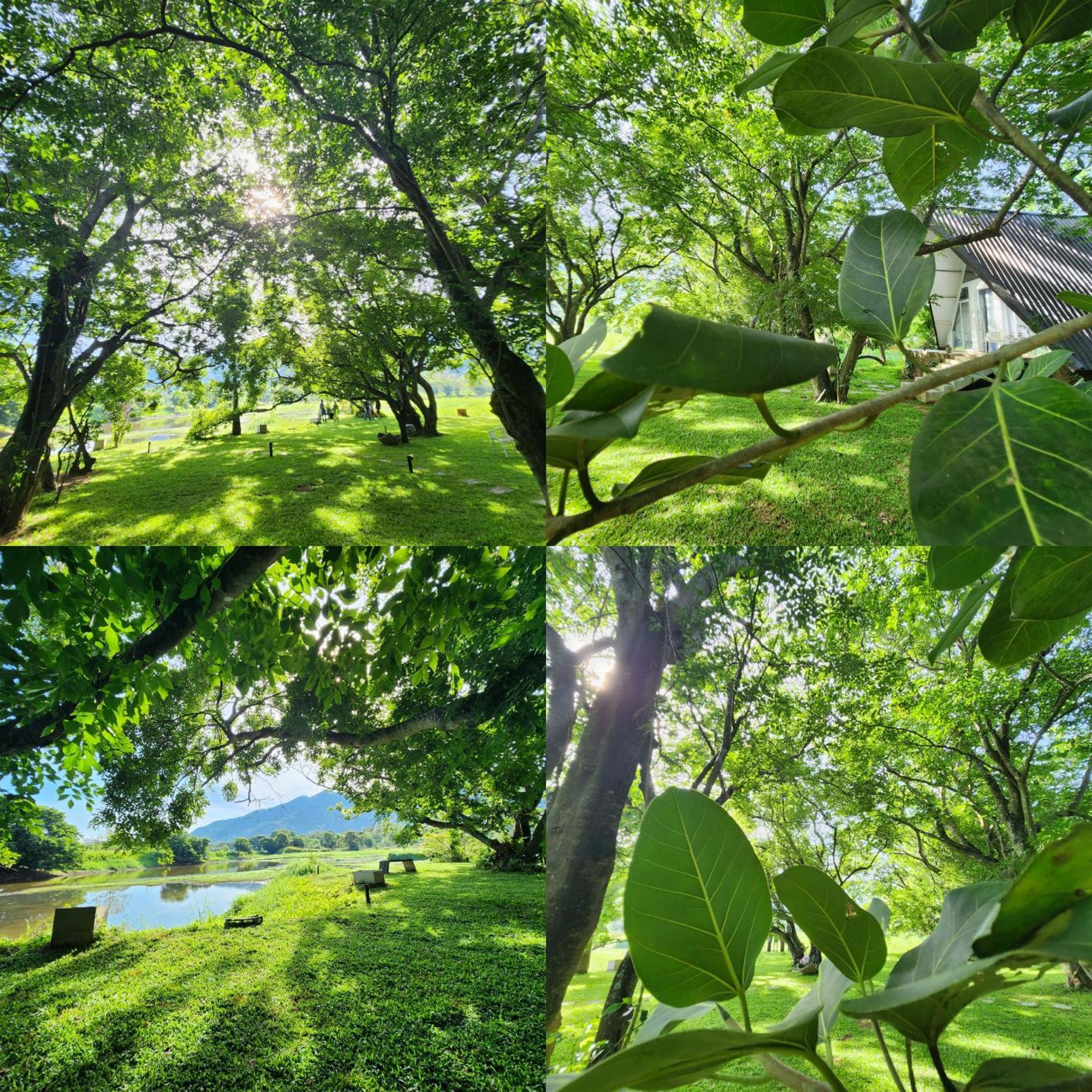 Samabe Lake Dambulla Zewnętrze zdjęcie